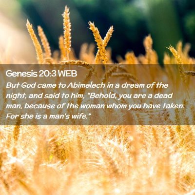 Picture 02 - Genesis 20:3 WEB - But God came to Abimelech in a dream of the - Bible Verse Picture