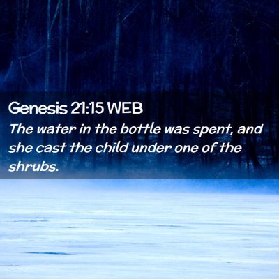 Picture 02 - Genesis 21:15 WEB - The water in the bottle was spent, and she cast - Bible Verse Picture
