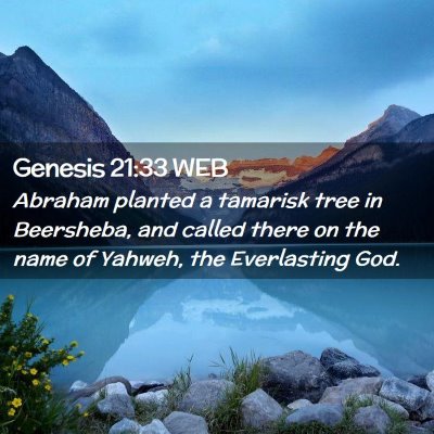Picture 02 - Genesis 21:33 WEB - Abraham planted a tamarisk tree in Beersheba, and - Bible Verse Picture