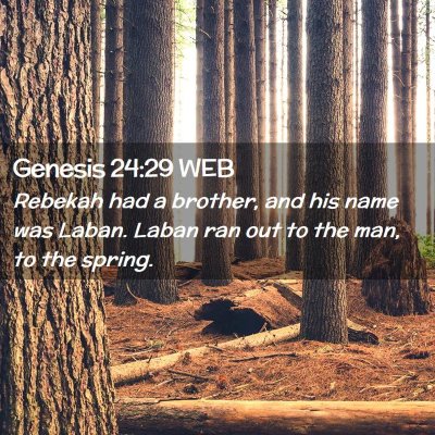 Picture 02 - Genesis 24:29 WEB - Rebekah had a brother, and his name was Laban. - Bible Verse Picture