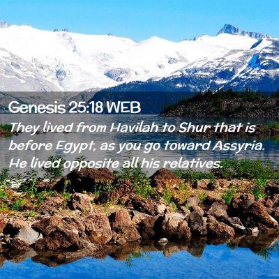 Picture 02 - Genesis 25:18 WEB - They lived from Havilah to Shur that is before - Bible Verse Picture