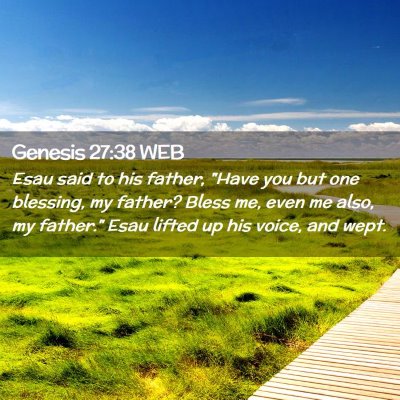 Picture 02 - Genesis 27:38 WEB - Esau said to his father, 