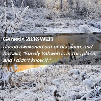 Picture 02 - Genesis 28:16 WEB - Jacob awakened out of his sleep, and he said, - Bible Verse Picture