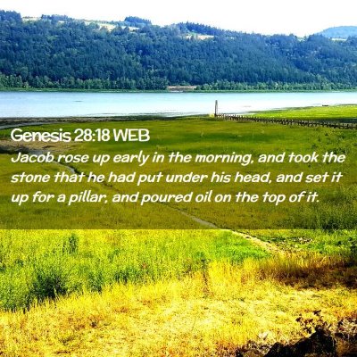 Picture 02 - Genesis 28:18 WEB - Jacob rose up early in the morning, and took the - Bible Verse Picture