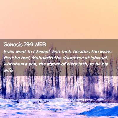 Picture 02 - Genesis 28:9 WEB - Esau went to Ishmael, and took, besides the wives - Bible Verse Picture
