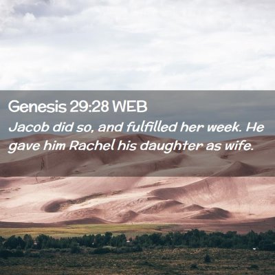 Picture 02 - Genesis 29:28 WEB - Jacob did so, and fulfilled her week. He gave him - Bible Verse Picture