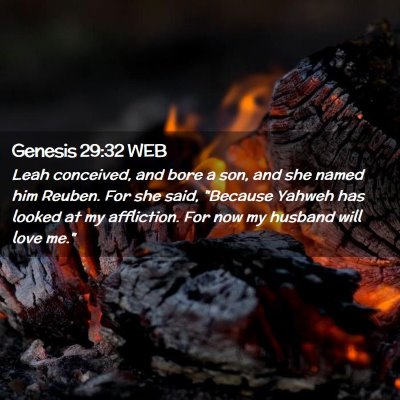 Picture 02 - Genesis 29:32 WEB - Leah conceived, and bore a son, and she named him - Bible Verse Picture