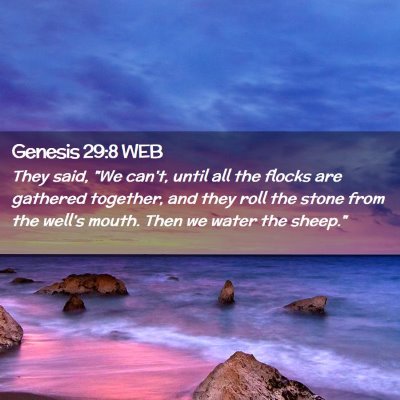 Picture 02 - Genesis 29:8 WEB - They said, 