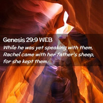 Picture 02 - Genesis 29:9 WEB - While he was yet speaking with them, Rachel came - Bible Verse Picture