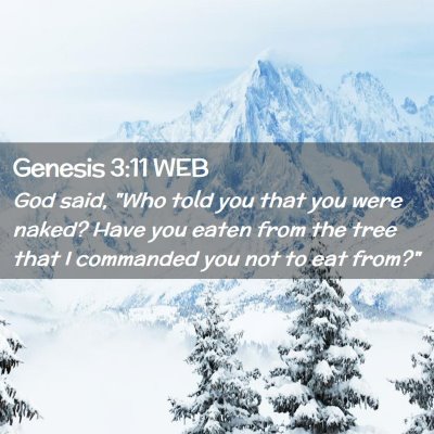 Picture 02 - Genesis 3:11 WEB - God said, 