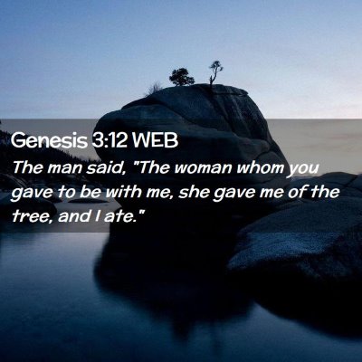 Picture 02 - Genesis 3:12 WEB - The man said, 
