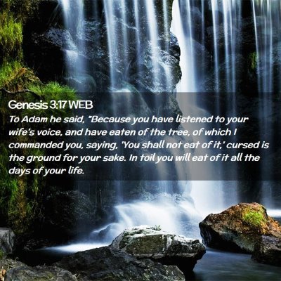 Picture 02 - Genesis 3:17 WEB - To Adam he said, 