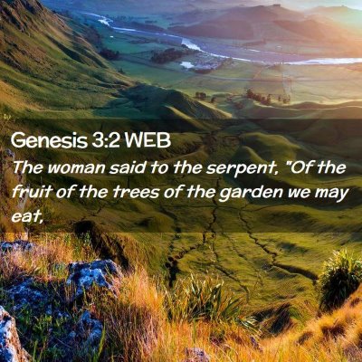 Picture 02 - Genesis 3:2 WEB - The woman said to the serpent, 