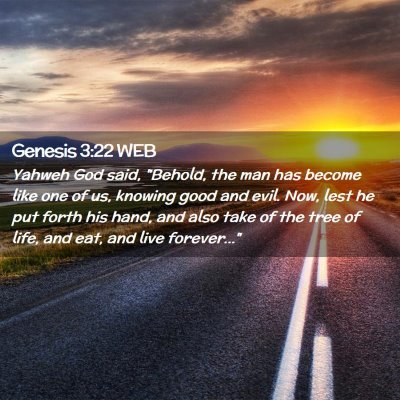 Picture 02 - Genesis 3:22 WEB - Yahweh God said, 