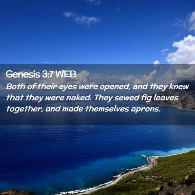 Picture 02 - Genesis 3:7 WEB - Both of their eyes were opened, and they knew - Bible Verse Picture