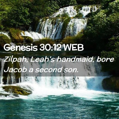 Picture 02 - Genesis 30:12 WEB - Zilpah, Leah's handmaid, bore Jacob a second - Bible Verse Picture