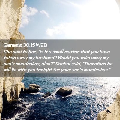 Picture 02 - Genesis 30:15 WEB - She said to her, 