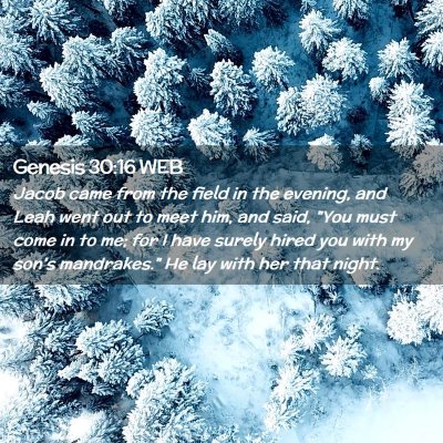 Picture 02 - Genesis 30:16 WEB - Jacob came from the field in the evening, and - Bible Verse Picture