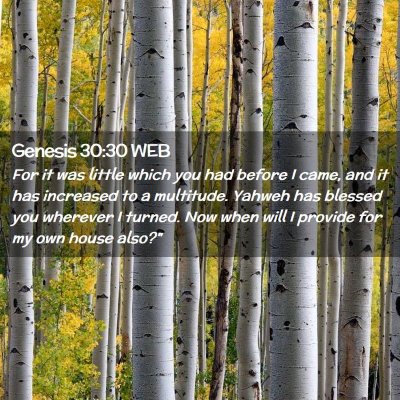 Picture 02 - Genesis 30:30 WEB - For it was little which you had before I came, - Bible Verse Picture