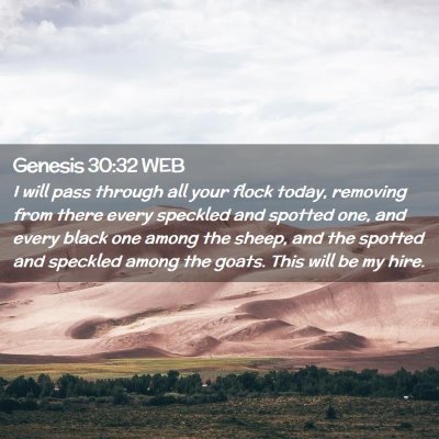 Picture 02 - Genesis 30:32 WEB - I will pass through all your flock today, - Bible Verse Picture