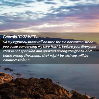 Picture 02 - Genesis 30:33 WEB - So my righteousness will answer for me hereafter, - Bible Verse Picture