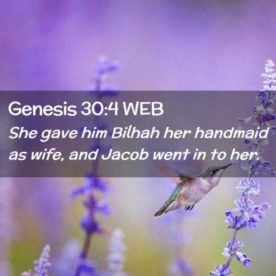Picture 02 - Genesis 30:4 WEB - She gave him Bilhah her handmaid as wife, and - Bible Verse Picture
