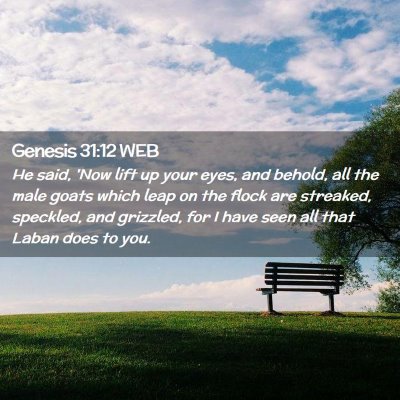 Picture 02 - Genesis 31:12 WEB - He said, 'Now lift up your eyes, and behold, all - Bible Verse Picture