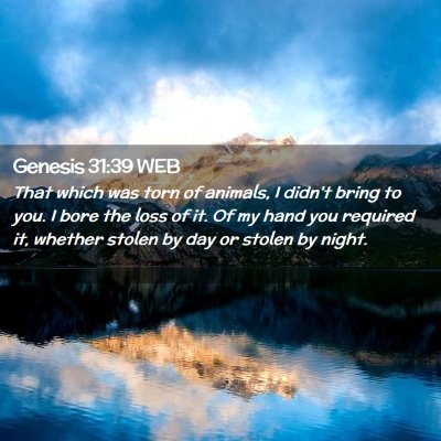 Picture 02 - Genesis 31:39 WEB - That which was torn of animals, I didn't bring to - Bible Verse Picture