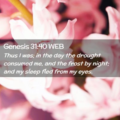 Picture 02 - Genesis 31:40 WEB - Thus I was; in the day the drought consumed me, - Bible Verse Picture