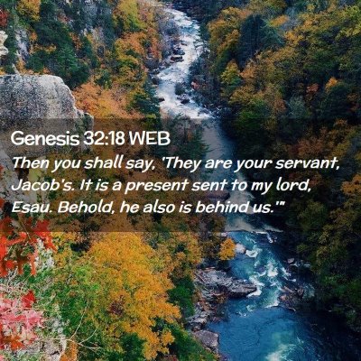 Picture 02 - Genesis 32:18 WEB - Then you shall say, 'They are your servant, - Bible Verse Picture
