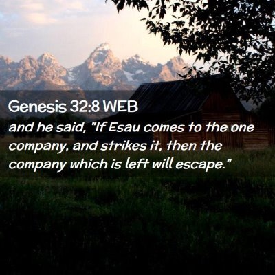 Picture 02 - Genesis 32:8 WEB - and he said, 