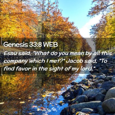 Picture 02 - Genesis 33:8 WEB - Esau said, 