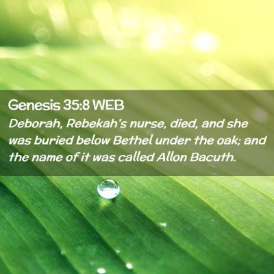Picture 02 - Genesis 35:8 WEB - Deborah, Rebekah's nurse, died, and she was - Bible Verse Picture
