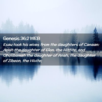Picture 02 - Genesis 36:2 WEB - Esau took his wives from the daughters of Canaan: - Bible Verse Picture