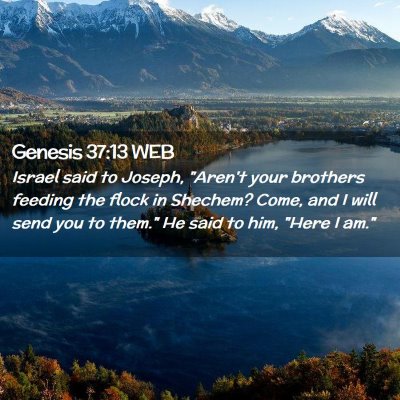 Picture 02 - Genesis 37:13 WEB - Israel said to Joseph, 