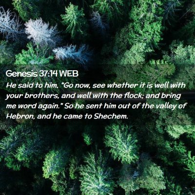 Picture 02 - Genesis 37:14 WEB - He said to him, 