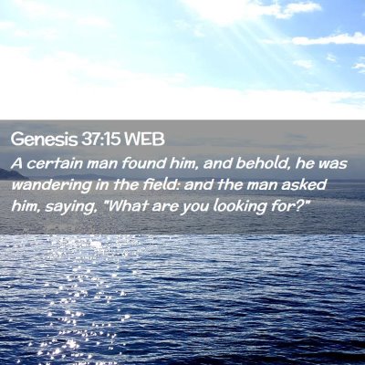 Picture 02 - Genesis 37:15 WEB - A certain man found him, and behold, he was - Bible Verse Picture