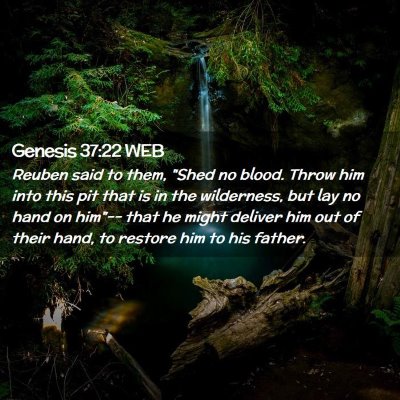 Picture 02 - Genesis 37:22 WEB - Reuben said to them, 