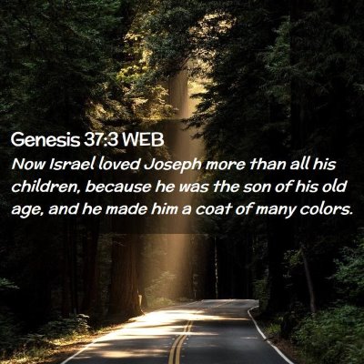 Picture 02 - Genesis 37:3 WEB - Now Israel loved Joseph more than all his - Bible Verse Picture