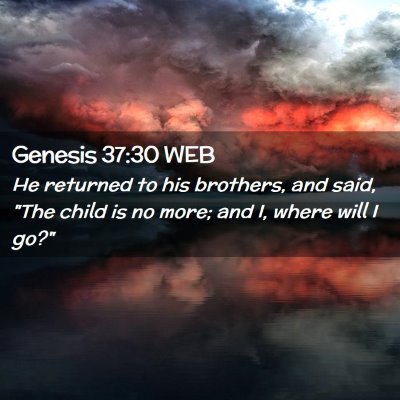 Picture 02 - Genesis 37:30 WEB - He returned to his brothers, and said, 