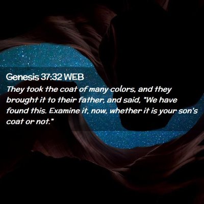 Picture 02 - Genesis 37:32 WEB - They took the coat of many colors, and they - Bible Verse Picture