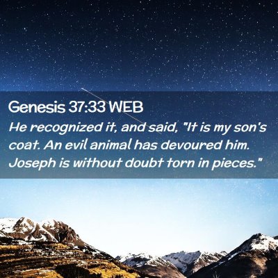 Picture 02 - Genesis 37:33 WEB - He recognized it, and said, 