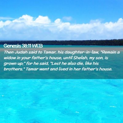 Picture 02 - Genesis 38:11 WEB - Then Judah said to Tamar, his daughter-in-law, - Bible Verse Picture