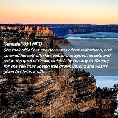 Picture 02 - Genesis 38:14 WEB - She took off of her the garments of her - Bible Verse Picture