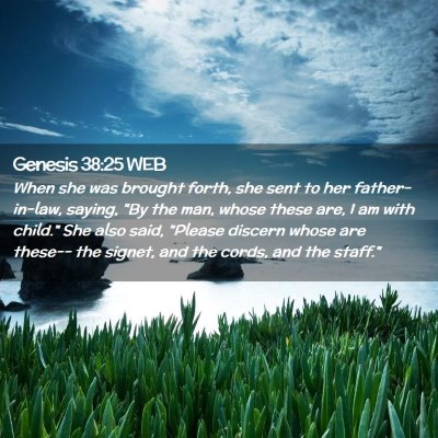 Picture 02 - Genesis 38:25 WEB - When she was brought forth, she sent to her - Bible Verse Picture