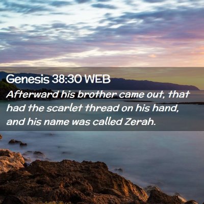 Picture 02 - Genesis 38:30 WEB - Afterward his brother came out, that had the - Bible Verse Picture