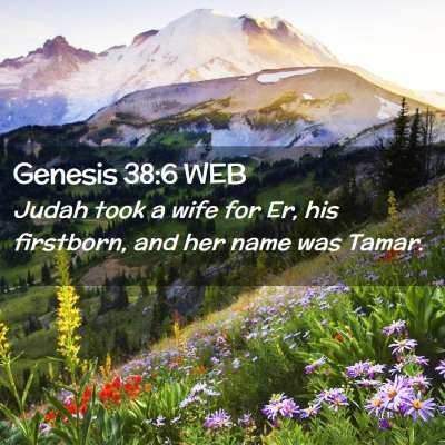 Picture 02 - Genesis 38:6 WEB - Judah took a wife for Er, his firstborn, and her - Bible Verse Picture