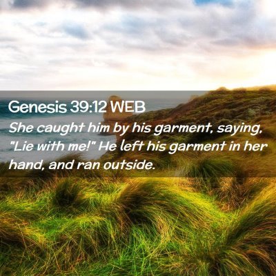 Picture 02 - Genesis 39:12 WEB - She caught him by his garment, saying, 
