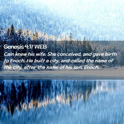 Picture 02 - Genesis 4:17 WEB - Cain knew his wife. She conceived, and gave birth - Bible Verse Picture