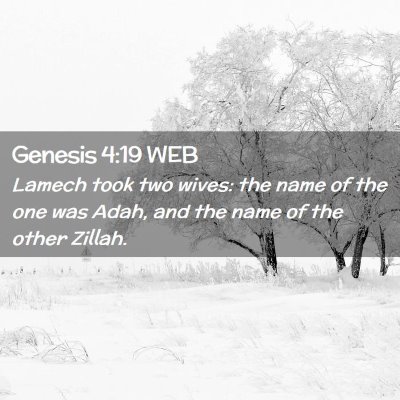 Picture 02 - Genesis 4:19 WEB - Lamech took two wives: the name of the one was - Bible Verse Picture